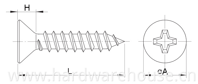 Drawing Self Tapping Screw Phillips Drive D7982